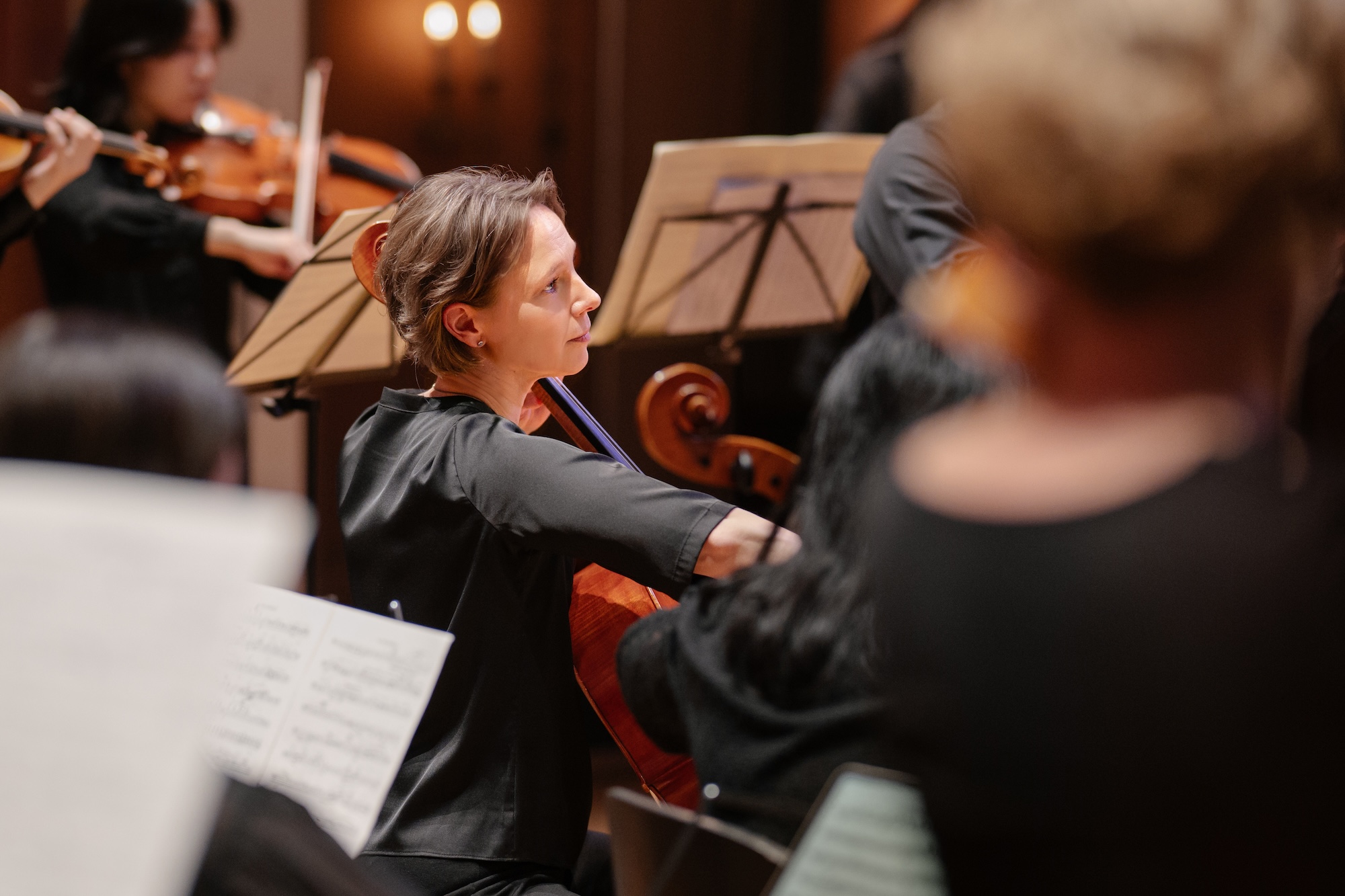 Konzerthaus Kammerorchester, Viola Bayer
